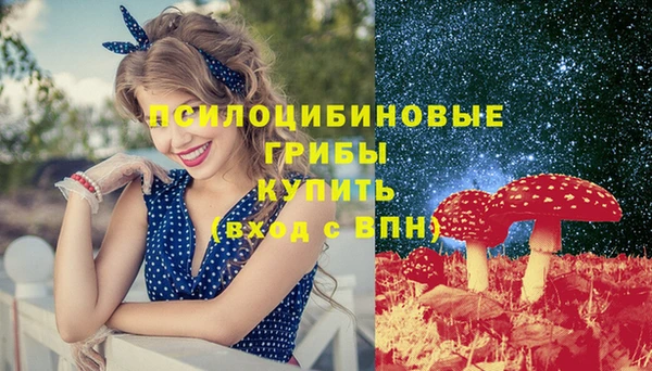 MDMA Premium VHQ Горнозаводск