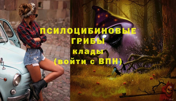 MDMA Premium VHQ Горнозаводск