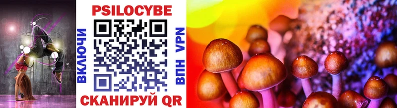 блэк спрут ссылка  shop клад  Псилоцибиновые грибы Psilocybine cubensis  Новочеркасск 