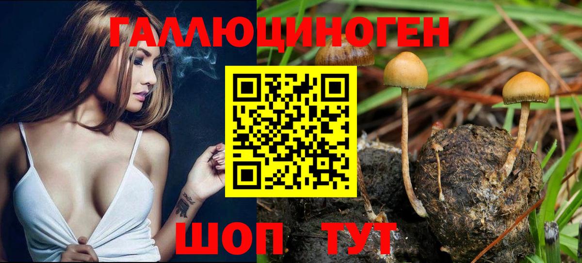 Галлюциногенные грибы Magic Shrooms  Вход с VPN  Новочеркасск 