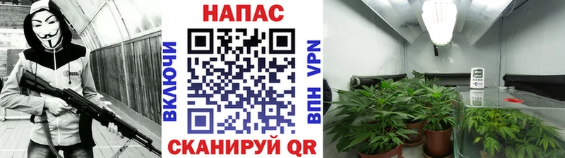 Каннабис VHQ Новочеркасск